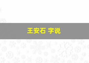 王安石 字说